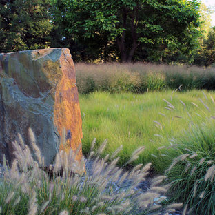Cette image montre un jardin arrière bohème.