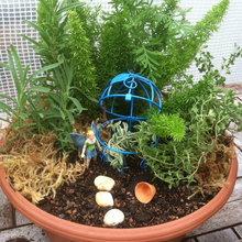 Emma's Fairy Garden