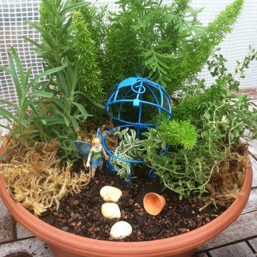 Fairy Gardens, Terrariums & Succulents