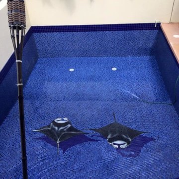 Dolphin & Shark Pool Tile