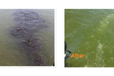 Before and After Lake Aeration