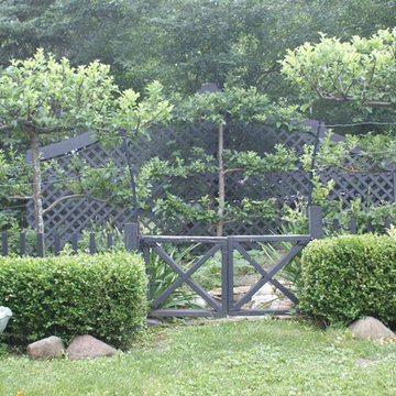 Country Landscape