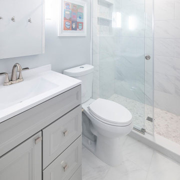 White & Gray Bathroom / Alexandria, VA