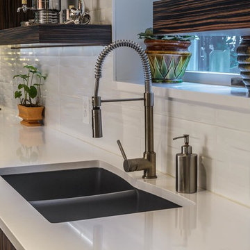 Alexandria Contemporary Kitchen