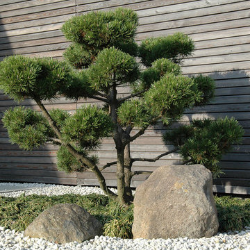 Gartenprojekte