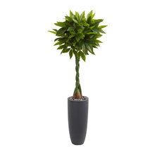 Planters