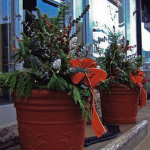 Planters/Container Gardening
