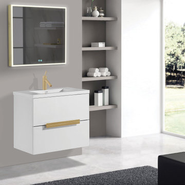 THE VANGUARD LIGHTED MIRRORED CABINET COLLECTION (SURFACE MOUNT)