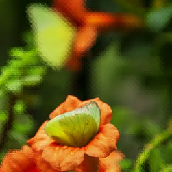 Fine Art Photography - Digital paintings - Products