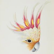 Isabelle Iturria's photo