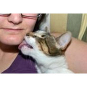 Bekah Wilcox's photo