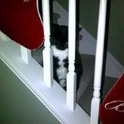 Foto von Dawn Poczynek-Holdridge