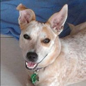 Donna Spencer's photo