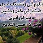 Farid Wahsh's photo
