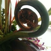 Jill Kalkoske's photo