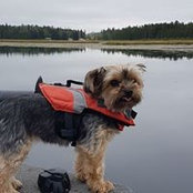 Clark Rasmussens billede