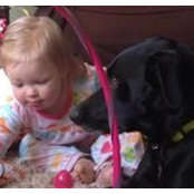 Steve Lynch's photo