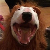 Jessica Croninger's photo