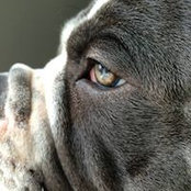 Jacqueline Oscvirk's photo