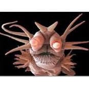 Jack Compton's photo