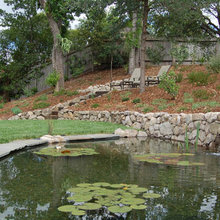 Frog pond