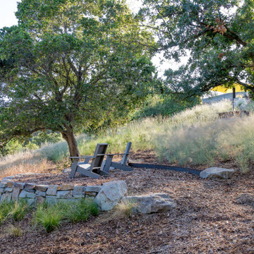 Natural Hillside Connection and Play