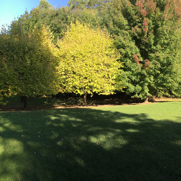 Panoramic image