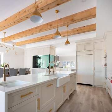Contemporary kitchen and fish tank