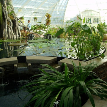 SF Conservatory of Flowers Project