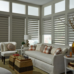 Allure&reg; Transitional Shades - Window Blinds