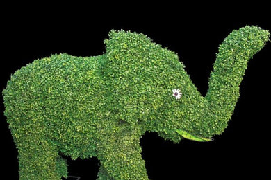 Form Topiaries - Animal and Logos Topiary