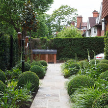 Side Yard