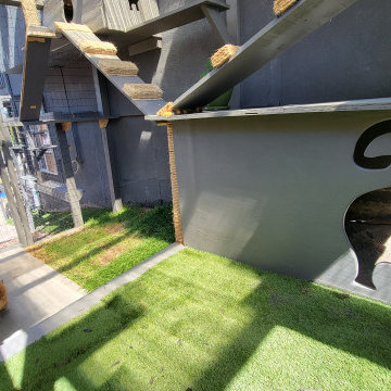 The Purr-fect Playground✨
