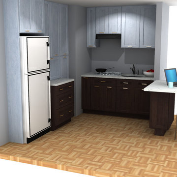 Tiny apartment kitchen