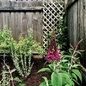 Pollinator Gardens