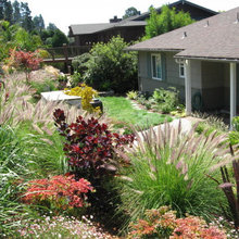 Nancy entry garden