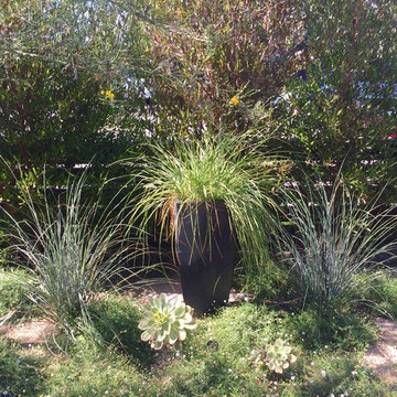Costa Mesa Curb Appeal