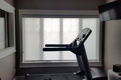 Hunter Douglas Roller/Screen Shades