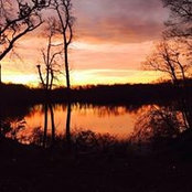 Robert Brown's photo