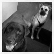Lina Murillo's photo