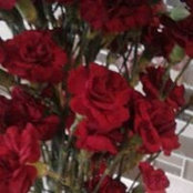 Abdul Kakar's photo