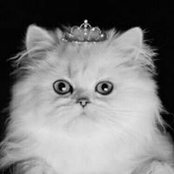 Catherine Huggan's photo