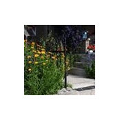Lynn Preston's photo