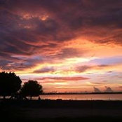 Ann Schlanger's photo
