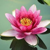 Andi Lynn's photo