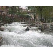 William Irwin's photo