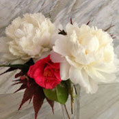 Sherry Hart's photo