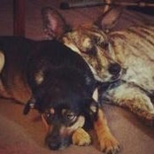 Christopher Massingill's photo
