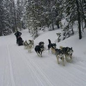 Foto von Sara Baron
