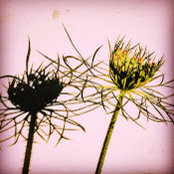 Lee Glickenhaus's photo